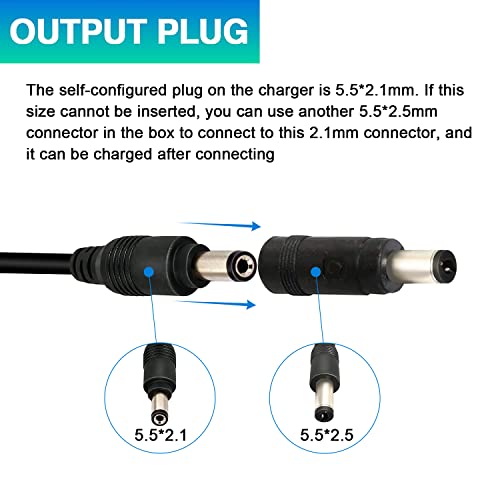 48v Lithium Battery Charger for Electric Bike/Scooter