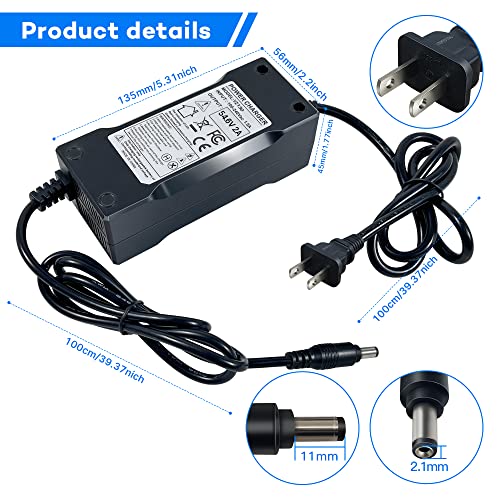 48v Lithium Battery Charger for Electric Bike/Scooter