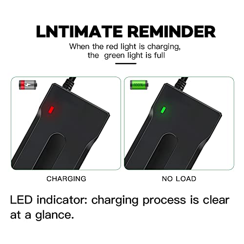 48v Lithium Battery Charger for Electric Bike/Scooter
