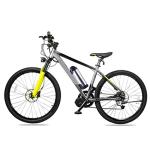 36V E-Bike Battery Pack with Charger, BMS