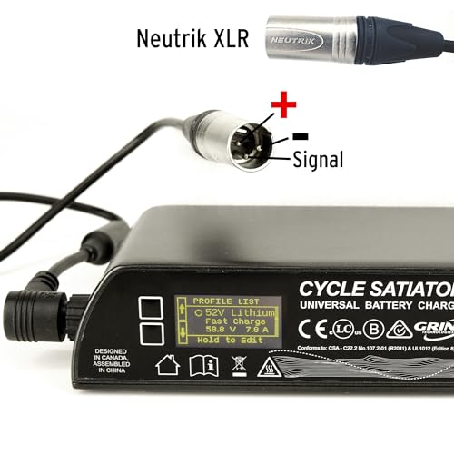 Cycle Satiator: Customized Charger for Optimal E-Bike Performance