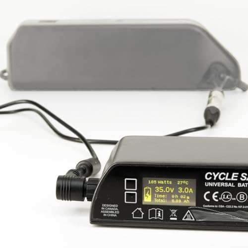 Cycle Satiator: Customized Charger for Optimal E-Bike Performance