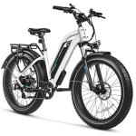 MAGICYCLE 750W Fat Tire Electric Bike for Adults