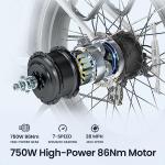 MAGICYCLE 750W Fat Tire Electric Bike for Adults