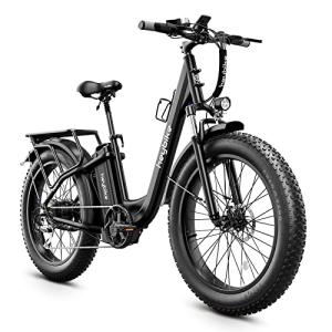 Heybike Explore 750W Electric Bike with Fat Tires