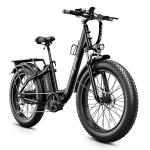 Heybike Explore 750W Electric Bike with Fat Tires