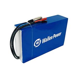 Wallenpower 36V 15AH Ebike Lithium Battery Pack
