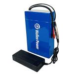 Wallenpower 36V 15AH Ebike Lithium Battery Pack