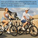 36V 10Ah Electric Bike Battery with Charger