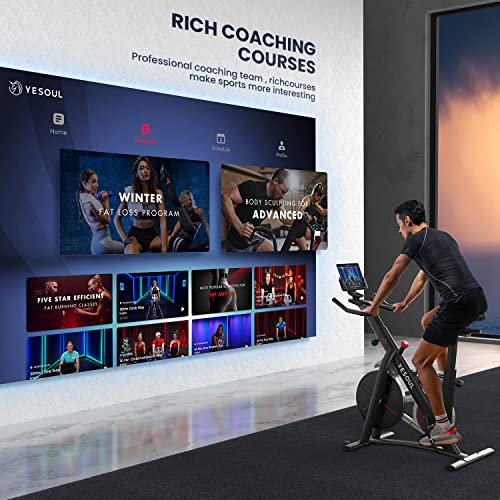 YESOUL S3 Bluetooth Exercise Bike for Home