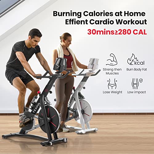 YESOUL S3 Bluetooth Exercise Bike for Home