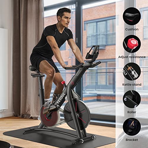 YESOUL S3 Bluetooth Exercise Bike for Home