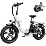Heybike Ranger 500W Foldable Electric Bike for Adults