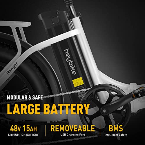 Foldable Electric Bike with Fat Tires and 500W Motor