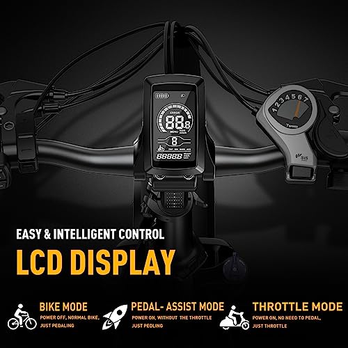 Foldable Electric Bike with Fat Tires and 500W Motor