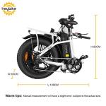 Heybike Ranger 500W Foldable Electric Bike for Adults
