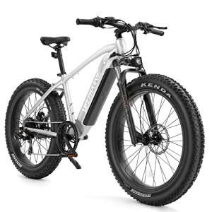 VELOWAVE 750W Mountain Electric Bike with Fat Tires