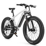 VELOWAVE 750W Mountain Electric Bike with Fat Tires