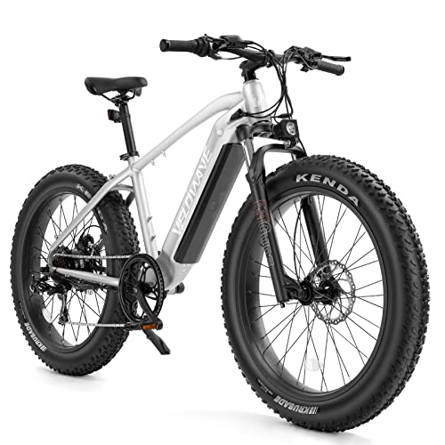 750W Electric Mountain Bike with Fat Tires