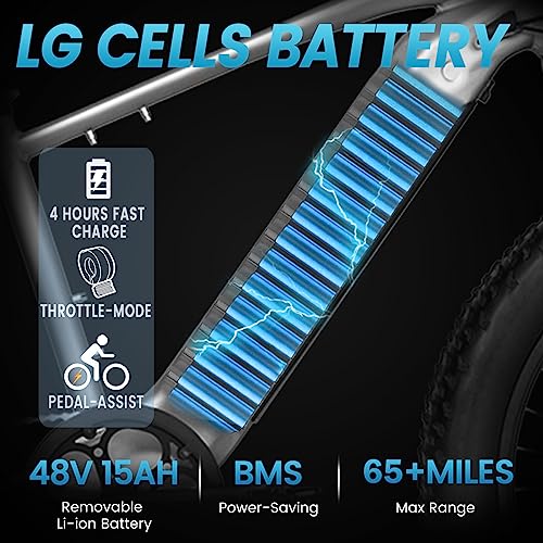 750W Electric Mountain Bike with Fat Tires