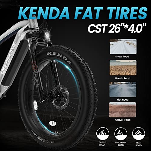 750W Electric Mountain Bike with Fat Tires
