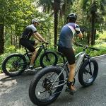 VELOWAVE 750W Mountain Electric Bike with Fat Tires