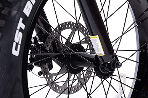 Folding 48V Electric Fat Tire Bike