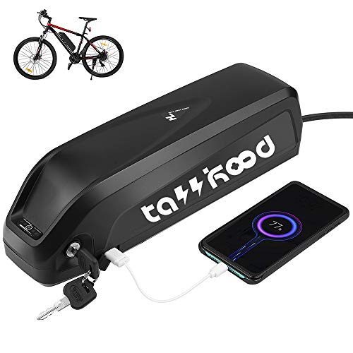 48V Hailong Ebike Battery for 1500W Motor