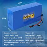 48V 20Ah Lithium Ebike Battery with Charger