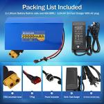 48V 20Ah Lithium Ebike Battery with Charger