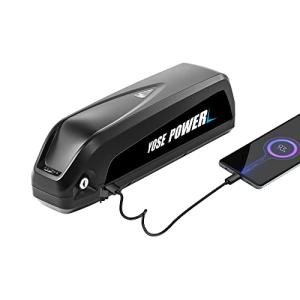Electric Bike Lithium Battery (48V 13Ah)