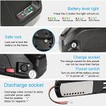 YS YOSE POWER 48V Lithium E-Bike Battery