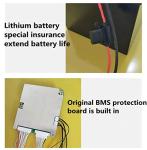 Powerful 48V 2000W Electric Bike Battery