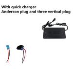 Powerful 48V 2000W Electric Bike Battery