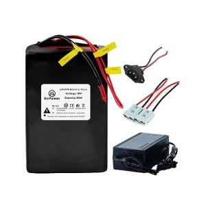 36V 25AH Lithium Ebike Battery Pack