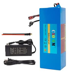 Powerful 48V Ebike Battery with Charger