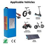 48V Ebike Battery for Bikes and Scooters