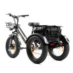 48V 18.2Ah Battery for DWMEIGI Electric Trike