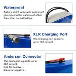 Wallenpower 36V 15AH Ebike Lithium Battery Pack