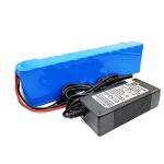 36V 7800mAh E-Bike Lithium Battery Pack with Charger