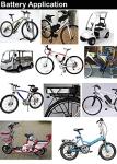48V Electric Bike Lithium Battery for Folding Ebikes