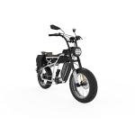 Hover-1 Altai Pro R750 Electric Bike 28 mph