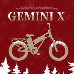 Fucare Gemini Electric Bike with Dual Samsung Battery
