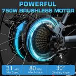 Fucare Gemini Electric Bike with Dual Samsung Battery
