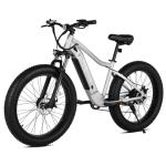 PEXMOR 750W Electric Fat Tire Mountain Bike