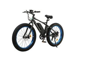 ECOTRIC Cheetah 500W Fat Tire Electric Bike