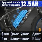 ECOTRIC Cheetah 500W Fat Tire Electric Bike