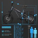 Fucare Gemini Electric Bike with Dual Samsung Battery
