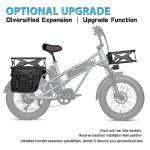 Fucare Gemini Electric Bike with Dual Samsung Battery