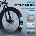 PEXMOR 750W Electric Fat Tire Mountain Bike